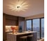 Люстра с пультом Citilux TRENT LED чёрная CL203651 12