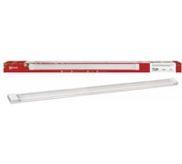 Светильник светодиодный IN HOME СПБ-110 STD-ФИТО красно-синий спектр 75Вт 1200мм IP40 4690612064970