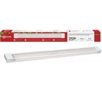 Светильник светодиодный IN HOME СПБ-110 STD-ФИТО красно-синий спектр 25Вт 600мм IP40 4690612064963