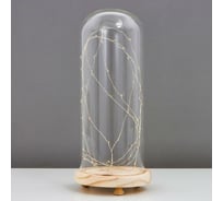 Настольная лампа RISALUX LED Колба с светлячками 3 ААА 27х12х12 см 3000287