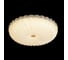 Потолочный светодиодный светильник Crystal Lux SOLARIS PL500 2