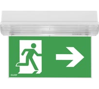 Аварийный светильник Awex HELIOS P LED постоянный 3ч на потолок IP42 без пиктограммы HPL/3/SA