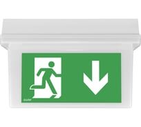 Аварийный светильник Awex HELIOS DS LED 1W постоянный 3ч кнопка тестирования IP65 на потолок HDL/1W/C/3/SA/PT