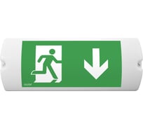 Аварийный светильник Awex HELIOS LED постоянный, 1Вт, 1ч, кнопка тестирования, IP65, на поверхность HL/1W/C/1/SA/PT/OP