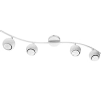 Светильник потолочный ARTE LAMP A6251PL-4WH