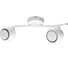 Светильник потолочный ARTE LAMP A6251PL-2WH 1
