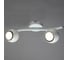 Светильник потолочный ARTE LAMP A6251PL-2WH 2