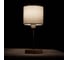 Светильник настольный ARTE LAMP A5071LT-1SS 2