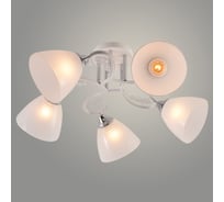 Люстра Росток XA1601/5 WH+CR белый/хром 5х60W E27 d590 h250, HN24 988384129