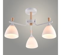 Люстра Росток XA1622/3 WH+WOOD белый+дерево 3х60W E27 d550 h340, HN25 988391247