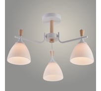 Люстра Росток XA1627/3 WH+WOOD белый+дерево 3х60W E27 d600 h270, HN25 988391254