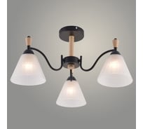Люстра Росток XA1627B/3 BK+WOOD черный+дерево 3х60W E27 d600 h295, HN25 988391257