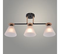 Люстра Росток XA1630B/3 BK+WOOD чёрный+дерево 3х60W E27 d635 h295, HN25 988391307
