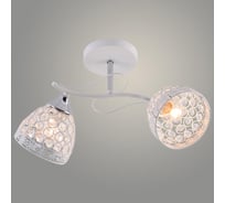 Люстра РОСТОК XA1636B/2 WH+CR белый/хром 2х60W E27 d490 h250, HN25 988391342