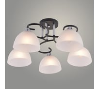 Люстра РОСТОК XA1635/5 BK+CR черный/хром 5х60W E27 d550 h260, HN25 988391335