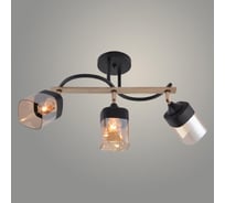 Люстра РОСТОК XA1644B/3 BK+WOOD+FGD черный/золото 3х60W E27 d600 h290, HN25 988391383