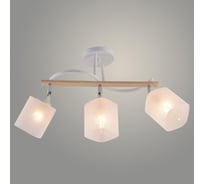 Люстра РОСТОК XA1644/3 WH+WOOD+CR белый/хром 3х60W E27 d600 h290, HN25 988391381