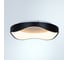 Светильник потолочный ARTE LAMP A3085PL-48BK 2