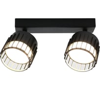 Спот на основании General Lighting Systems под лампу GX53, серия Клетка, GWL-2GX53-M-IP20, цвет черный 662685