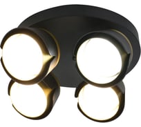 Спот на основании General Lighting Systems под 4 лампы GX53, серия Цветок, GWL-4GX53-M-IP20, цвет черный 662679