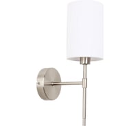 Светильник настенный ARTE LAMP A4108AP-1SS
