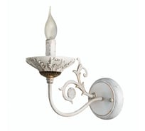 Светильник настенный ARTE LAMP A5326AP-1WG