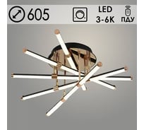 Люстра Светиль 1031/5 BK+GD черный/золото 5x12W LED 3000-6000K ПДУ(ИК) диммер d605 h225, 24 988387222