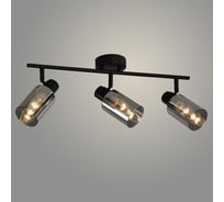 Спот Светиль 23810/3 BK черный 3x40W E14 h130, 24 988386562