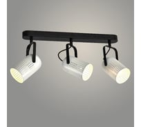 Спот Светиль 23960/3 BK+WH черный/белый 3x40W E27 h135, 24 988386582