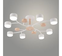 Люстра РОСТОК XI1002/8 WT+WOOD белый/дерево 8х15W GX53 d720 h170, HN25 988391268