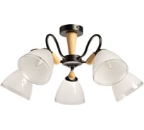Люстра De City Альфа 5х60W E27 220 V 324019605