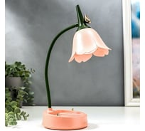 Настольная лампа RISALUX с диммером 16300/1RD LED 4Вт USB АКБ 3000-6000К персик 12,3х12,3х37 см 5448912