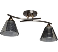 Люстра De City Тетро 2х60W Е27 220V 673018902