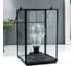 Ночник RISALUX "Лампа лофт" LED от батареек 3хААА черный 15,5х15,5х24 см 5500499 1