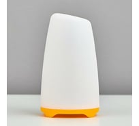 Ночник RISALUX "Овальный фонарь" LED RGB 2 режима от батареек 3ААА бело-оранжевый 8х8х13,5 см 5091641