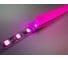 Светодиодная лента для неона DIAMOND LED (20 п.м.) розовый LSFN-2835-12V-7,2W-120LED-P-25ММ-IP65-МЕN 4