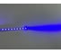 Светодиодная лента для неона DIAMOND LED (20 п.м.) синий LSFN-2835-12V-7,2W-120LED-B-25ММ-IP65-МЕN 3