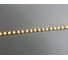 Светодиодная лента для неона DIAMOND LED (20 п.м.) теплый белый (3000K) LSFN-2835-12V-8W-120LED-W-10ММ-IP65-МЕN 4