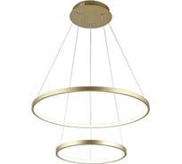 Подвесная люстра Aployt APL.014.03.60