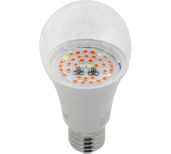 Лампа ЭРА FITO 14W RB E27 Б0050602