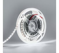 Светодиодная лента Alvar STANDARD 12В 9.6Вт 6000К холодная, IP20, 2835 120 LED AL-S1296W_5