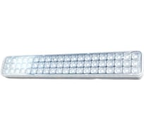 Аварийный светильник Титанум TM-EL-220-01-60LED ЭТ000002403