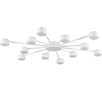 Люстра LUMION GX53 12*7W TORINA 8343/12C