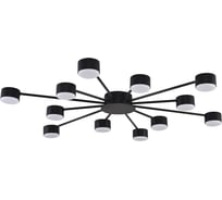 Люстра LUMION GX53 12*7W TORINA 8344/12C