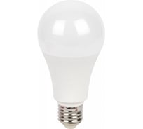 Набор 10 штук лампы ЭРА RED LINE LED A70-30W-840-E27 R светодиодные 30Вт груша нейтральный белый свет E27 Б0069974