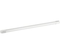 Набор 4 штуки лампы ЭРА RED LINE LED T8-10W-865-G13-600mm NTB светодиодные 10Вт холодный дневной свет G13 неповоротный Б0071243