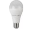 Набор 5 штук лампы ЭРА RED LINE LED A65-20W-827-E27 R светодиодные 20Вт груша теплый белый свет Е27 Б0071386 1