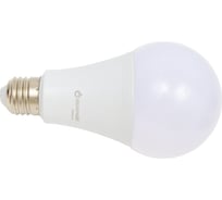 Лампа Включай 25W E27 A80 6500K 220V LED PREMIUM А80-25W-E27-WW ЛОН 1198678