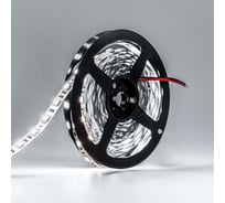 Светодиодная лента Alvar PREMIUM 12В 14.4Вт 6000К холодная, IP20, 5050 60 LED AL-P1214W_5
