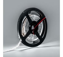Светодиодная лента Alvar PREMIUM 12В 24Вт 6000К холодная, IP20, 3014 240 LED AL-P1224W_5